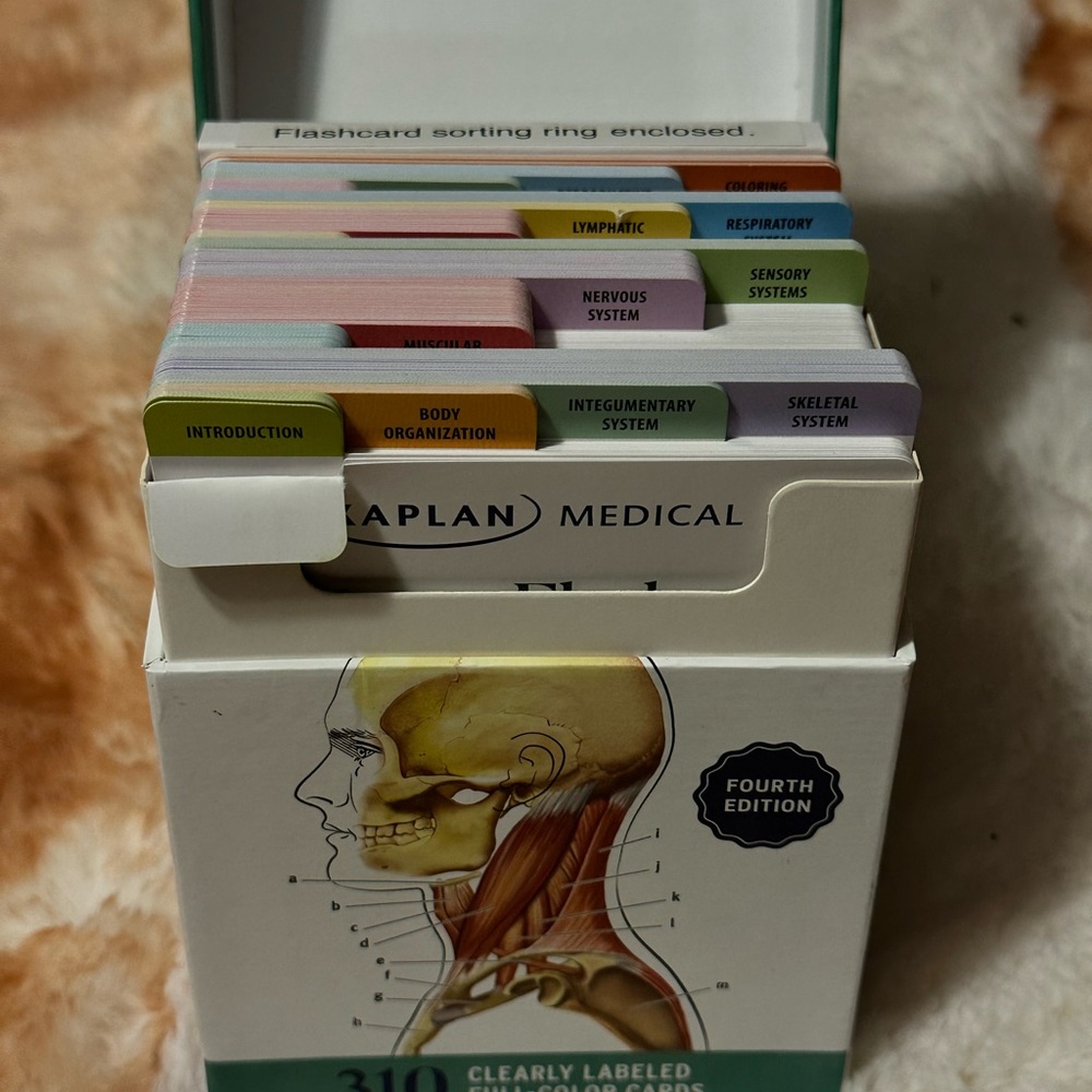 Anatomy Flashcards - Picture 3 of 4